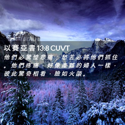 Picture 02 - 以 賽 亞 書 13:8 CUVT - 他 們 必 驚 惶 悲 痛 ； 愁 苦 必 將 - Bible Verse Picture