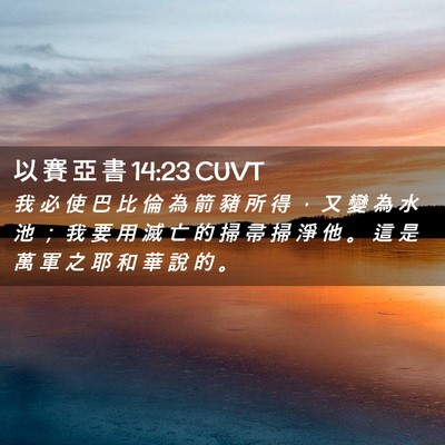 Picture 02 - 以 賽 亞 書 14:23 CUVT - 我 必 使 巴 比 倫 為 箭 豬 所 得 ， - Bible Verse Picture