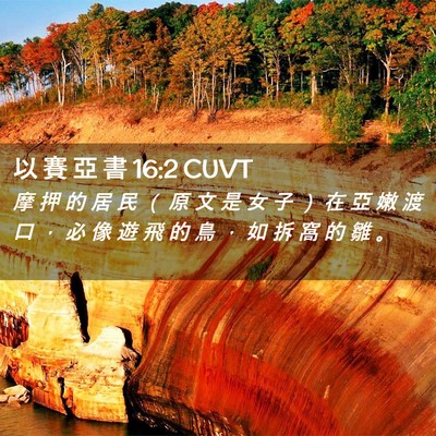 Picture 02 - 以 賽 亞 書 16:2 CUVT - 摩 押 的 居 民 （ 原 文 是 女 子 ） - Bible Verse Picture