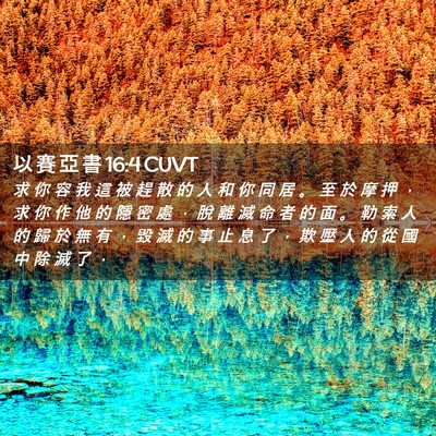 Picture 02 - 以 賽 亞 書 16:4 CUVT - 求 你 容 我 這 被 趕 散 的 人 和 你 - Bible Verse Picture