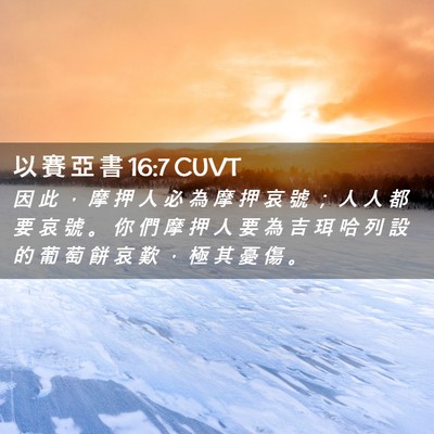 Picture 02 - 以 賽 亞 書 16:7 CUVT - 因 此 ， 摩 押 人 必 為 摩 押 哀 號 - Bible Verse Picture