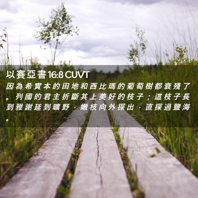 Picture 02 - 以 賽 亞 書 16:8 CUVT - 因 為 希 實 本 的 田 地 和 西 比 瑪 - Bible Verse Picture