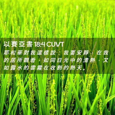 Picture 02 - 以 賽 亞 書 18:4 CUVT - 耶 和 華 對 我 這 樣 說 ： 我 要 安 - Bible Verse Picture