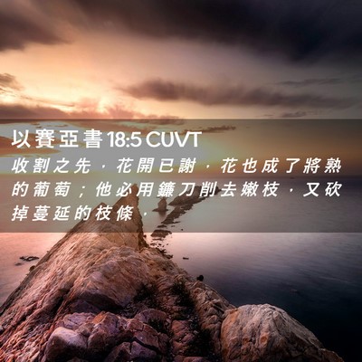 Picture 02 - 以 賽 亞 書 18:5 CUVT - 收 割 之 先 ， 花 開 已 謝 ， 花 也 - Bible Verse Picture