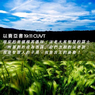 Picture 02 - 以 賽 亞 書 19:11 CUVT - 瑣 安 的 首 領 極 其 愚 昧 ； 法 老 - Bible Verse Picture