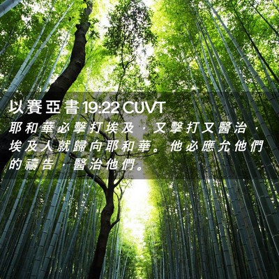 Picture 02 - 以 賽 亞 書 19:22 CUVT - 耶 和 華 必 擊 打 埃 及 ， 又 擊 打 - Bible Verse Picture