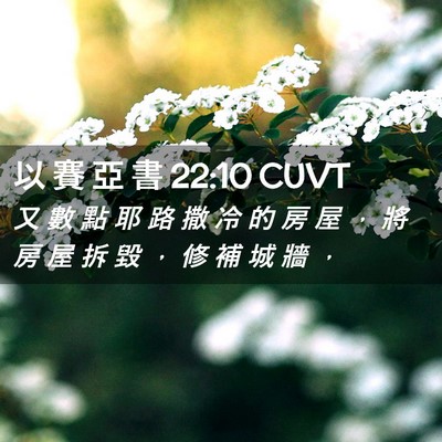 Picture 02 - 以 賽 亞 書 22:10 CUVT - 又 數 點 耶 路 撒 冷 的 房 屋 ， 將 - Bible Verse Picture