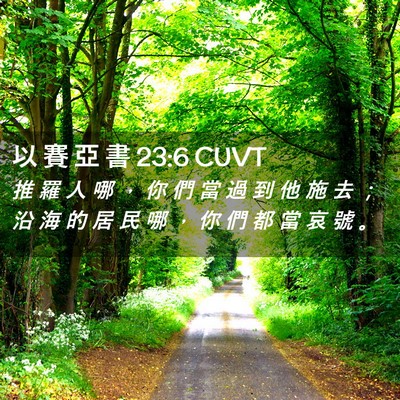 Picture 02 - 以 賽 亞 書 23:6 CUVT - 推 羅 人 哪 ， 你 們 當 過 到 他 施 - Bible Verse Picture