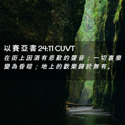 Picture 02 - 以 賽 亞 書 24:11 CUVT - 在 街 上 因 酒 有 悲 歎 的 聲 音 ； - Bible Verse Picture
