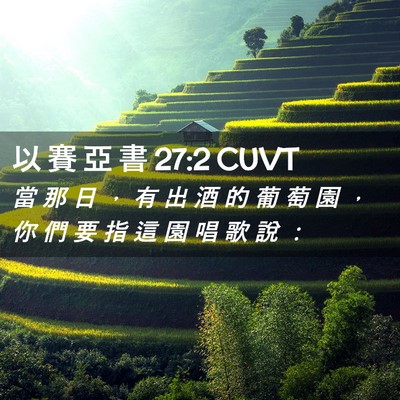 Picture 02 - 以 賽 亞 書 27:2 CUVT - 當 那 日 ， 有 出 酒 的 葡 萄 園 ， - Bible Verse Picture