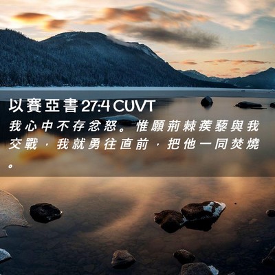 Picture 02 - 以 賽 亞 書 27:4 CUVT - 我 心 中 不 存 忿 怒 。 惟 願 荊 棘 - Bible Verse Picture