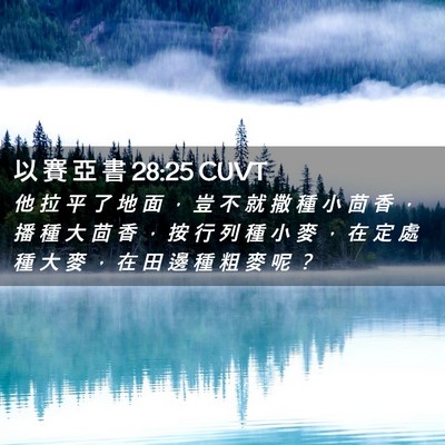 Picture 02 - 以 賽 亞 書 28:25 CUVT - 他 拉 平 了 地 面 ， 豈 不 就 撒 種 - Bible Verse Picture
