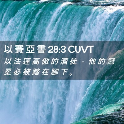 Picture 02 - 以 賽 亞 書 28:3 CUVT - 以 法 蓮 高 傲 的 酒 徒 ， 他 的 冠 - Bible Verse Picture