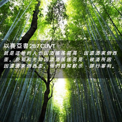 Picture 02 - 以 賽 亞 書 28:7 CUVT - 就 是 這 地 的 人 也 因 酒 搖 搖 晃 - Bible Verse Picture