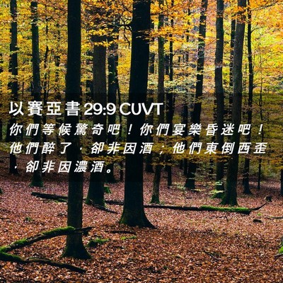 Picture 02 - 以 賽 亞 書 29:9 CUVT - 你 們 等 候 驚 奇 吧 ！ 你 們 宴 樂 - Bible Verse Picture