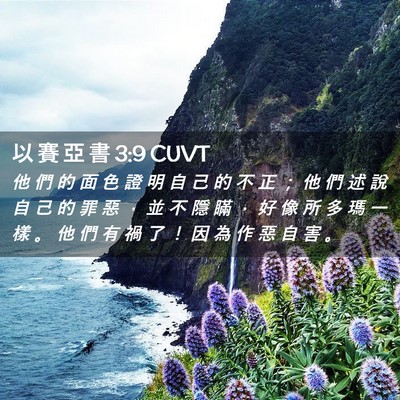 Picture 02 - 以 賽 亞 書 3:9 CUVT - 他 們 的 面 色 證 明 自 己 的 不 正 - Bible Verse Picture