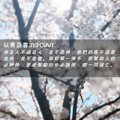 Picture 02 - 以 賽 亞 書 31:3 CUVT - 埃 及 人 不 過 是 人 ， 並 不 是 神 - Bible Verse Picture