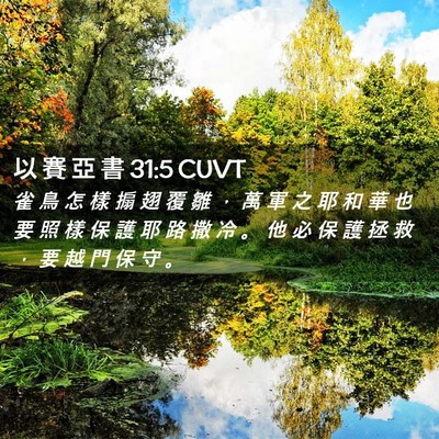 Picture 02 - 以 賽 亞 書 31:5 CUVT - 雀 鳥 怎 樣 搧 翅 覆 雛 ， 萬 軍 之 - Bible Verse Picture