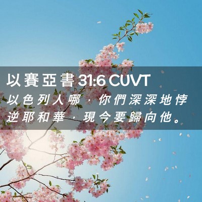 Picture 02 - 以 賽 亞 書 31:6 CUVT - 以 色 列 人 哪 ， 你 們 深 深 地 悖 - Bible Verse Picture
