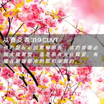 Picture 02 - 以 賽 亞 書 31:9 CUVT - 他 的 磐 石 必 因 驚 嚇 挪 去 ； 他 - Bible Verse Picture