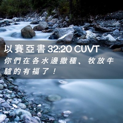 Picture 02 - 以 賽 亞 書 32:20 CUVT - 你 們 在 各 水 邊 撒 種 、 牧 放 牛 - Bible Verse Picture