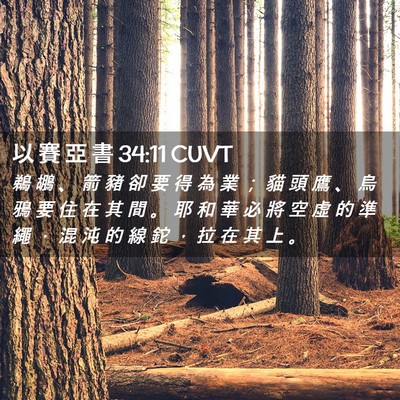 Picture 02 - 以 賽 亞 書 34:11 CUVT - 鵜 鶘 、 箭 豬 卻 要 得 為 業 ； 貓 - Bible Verse Picture