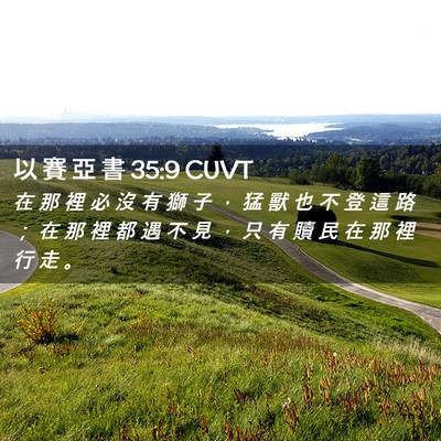 Picture 02 - 以 賽 亞 書 35:9 CUVT - 在 那 裡 必 沒 有 獅 子 ， 猛 獸 也 - Bible Verse Picture