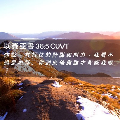 Picture 02 - 以 賽 亞 書 36:5 CUVT - 你 說 ， 有 打 仗 的 計 謀 和 能 力 - Bible Verse Picture