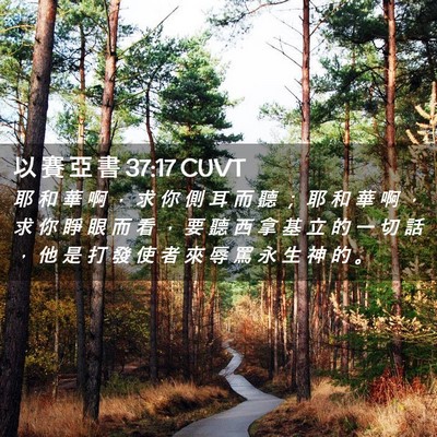 Picture 02 - 以 賽 亞 書 37:17 CUVT - 耶 和 華 啊 ， 求 你 側 耳 而 聽 ； - Bible Verse Picture