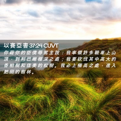 Picture 02 - 以 賽 亞 書 37:24 CUVT - 你 藉 你 的 臣 僕 辱 罵 主 說 ： 我 - Bible Verse Picture
