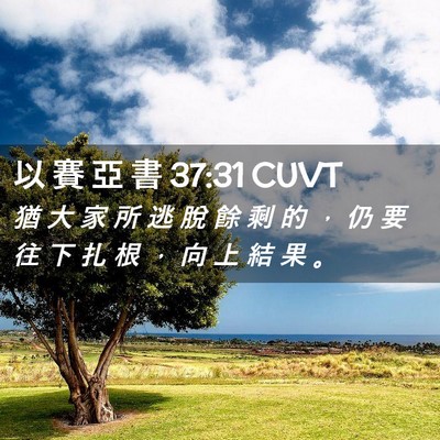 Picture 02 - 以 賽 亞 書 37:31 CUVT - 猶 大 家 所 逃 脫 餘 剩 的 ， 仍 要 - Bible Verse Picture