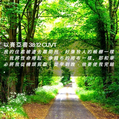 Picture 02 - 以 賽 亞 書 38:12 CUVT - 我 的 住 處 被 遷 去 離 開 我 ， 好 - Bible Verse Picture