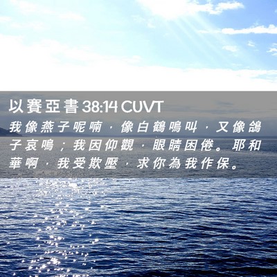 Picture 02 - 以 賽 亞 書 38:14 CUVT - 我 像 燕 子 呢 喃 ， 像 白 鶴 鳴 叫 - Bible Verse Picture