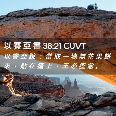 Picture 02 - 以 賽 亞 書 38:21 CUVT - 以 賽 亞 說 ： 當 取 一 塊 無 花 果 - Bible Verse Picture