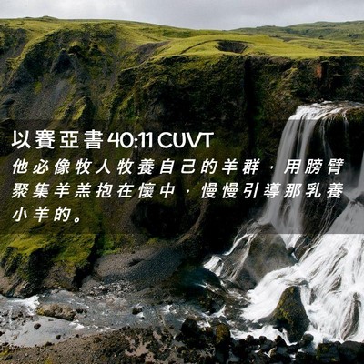 Picture 02 - 以 賽 亞 書 40:11 CUVT - 他 必 像 牧 人 牧 養 自 己 的 羊 群 - Bible Verse Picture