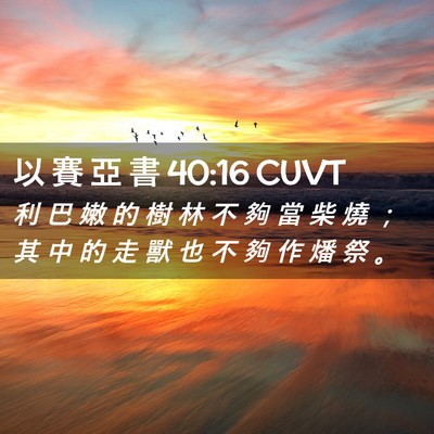 Picture 02 - 以 賽 亞 書 40:16 CUVT - 利 巴 嫩 的 樹 林 不 夠 當 柴 燒 ； - Bible Verse Picture