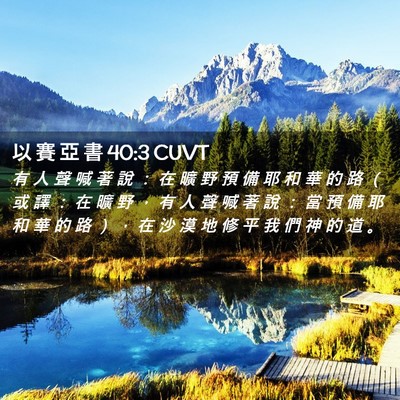 Picture 02 - 以 賽 亞 書 40:3 CUVT - 有 人 聲 喊 著 說 ： 在 曠 野 預 備 - Bible Verse Picture