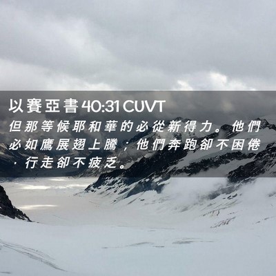 Picture 02 - 以 賽 亞 書 40:31 CUVT - 但 那 等 候 耶 和 華 的 必 從 新 得 - Bible Verse Picture