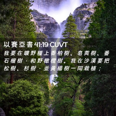 Picture 02 - 以 賽 亞 書 41:19 CUVT - 我 要 在 曠 野 種 上 香 柏 樹 、 皂 - Bible Verse Picture