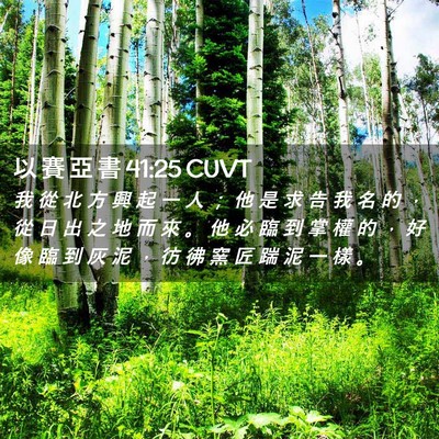 Picture 02 - 以 賽 亞 書 41:25 CUVT - 我 從 北 方 興 起 一 人 ； 他 是 求 - Bible Verse Picture