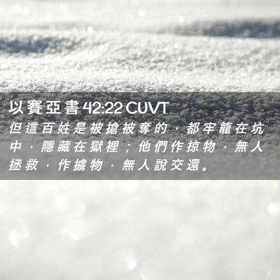 Picture 02 - 以 賽 亞 書 42:22 CUVT - 但 這 百 姓 是 被 搶 被 奪 的 ， 都 - Bible Verse Picture