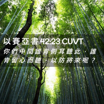 Picture 02 - 以 賽 亞 書 42:23 CUVT - 你 們 中 間 誰 肯 側 耳 聽 此 ， 誰 - Bible Verse Picture