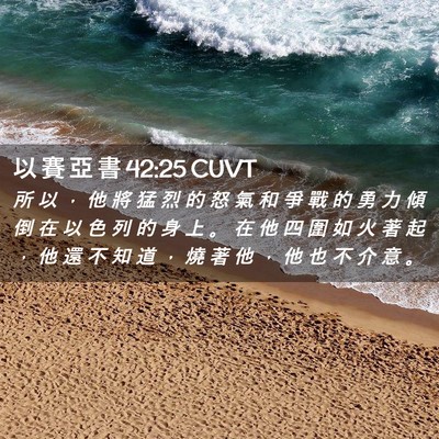 Picture 02 - 以 賽 亞 書 42:25 CUVT - 所 以 ， 他 將 猛 烈 的 怒 氣 和 爭 - Bible Verse Picture