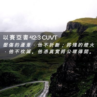 Picture 02 - 以 賽 亞 書 42:3 CUVT - 壓 傷 的 蘆 葦 ， 他 不 折 斷 ； 將 - Bible Verse Picture