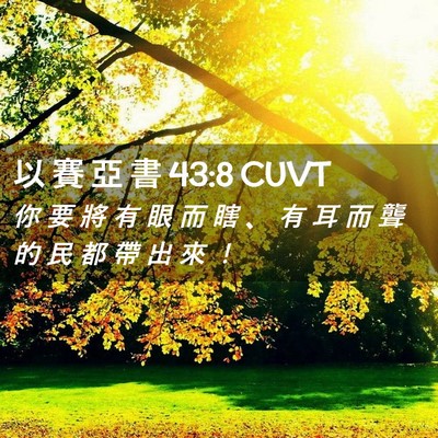 Picture 02 - 以 賽 亞 書 43:8 CUVT - 你 要 將 有 眼 而 瞎 、 有 耳 而 聾 - Bible Verse Picture