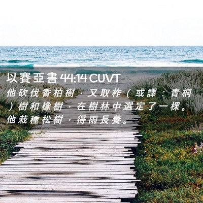 Picture 02 - 以 賽 亞 書 44:14 CUVT - 他 砍 伐 香 柏 樹 ， 又 取 柞 （ 或 - Bible Verse Picture