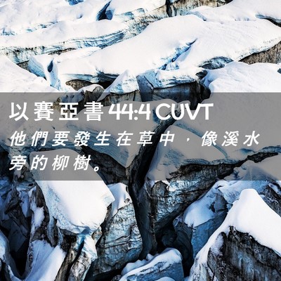 Picture 02 - 以 賽 亞 書 44:4 CUVT - 他 們 要 發 生 在 草 中 ， 像 溪 水 - Bible Verse Picture