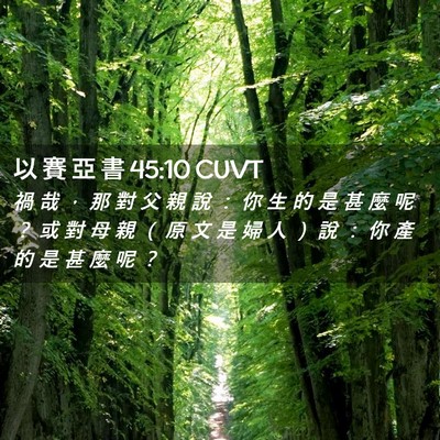 Picture 02 - 以 賽 亞 書 45:10 CUVT - 禍 哉 ， 那 對 父 親 說 ： 你 生 的 - Bible Verse Picture