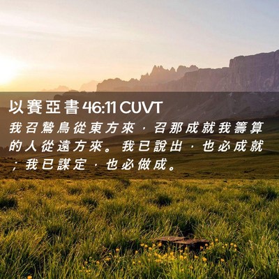 Picture 02 - 以 賽 亞 書 46:11 CUVT - 我 召 鷙 鳥 從 東 方 來 ， 召 那 成 - Bible Verse Picture