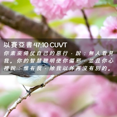 Picture 02 - 以 賽 亞 書 47:10 CUVT - 你 素 來 倚 仗 自 己 的 惡 行 ， 說 - Bible Verse Picture